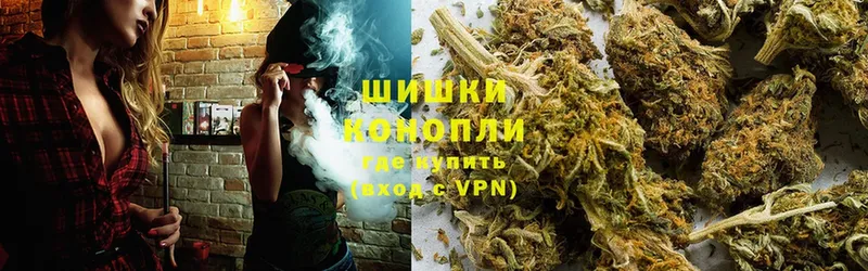 Каннабис White Widow  Электросталь 